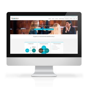 Website Triangis